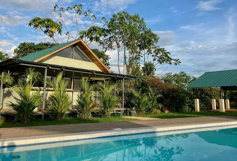 Gatehouse Cabin   Stunning Accommodation With Pool In Drake Bay