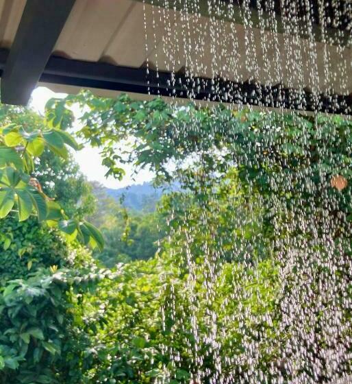 Gatehouse Cabin   Stunning Accommodation With Pool In Drake Bay