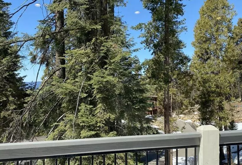 Yosemite S Pine Cove