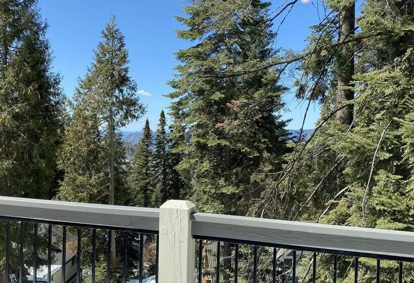 Yosemite S Pine Cove