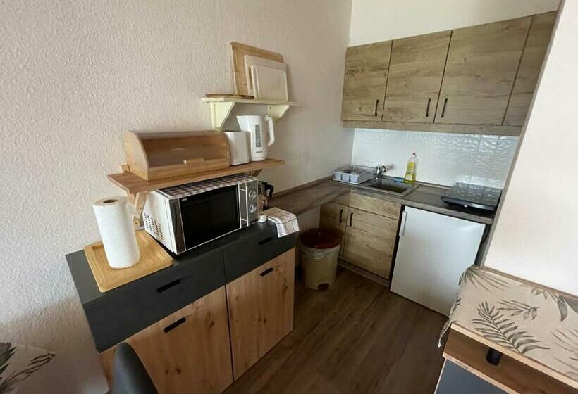 White Rose Apartment In Kulmhof