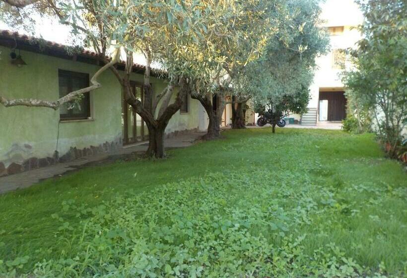 Suite  Gli Ulivi Dei Nonni Iun P3279