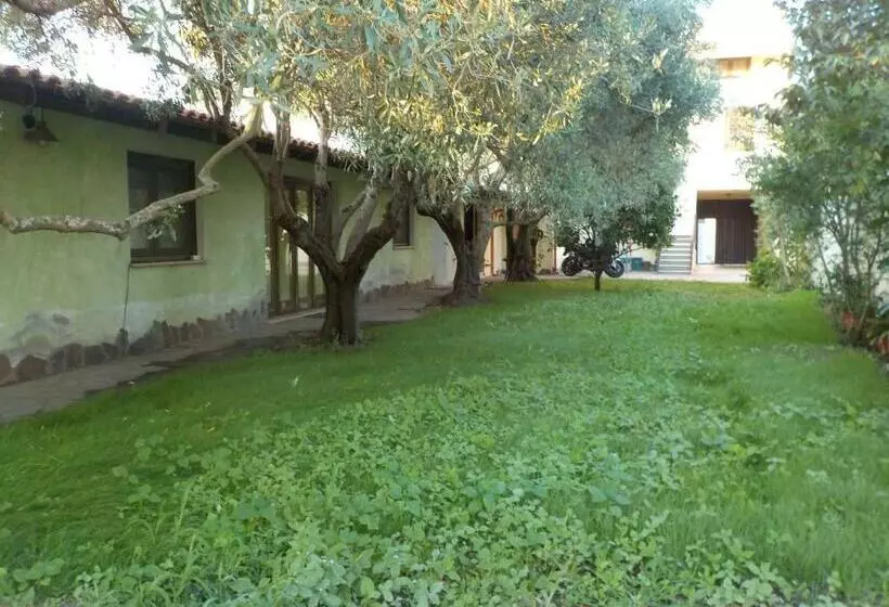 Suite  Gli Ulivi Dei Nonni Iun P3279