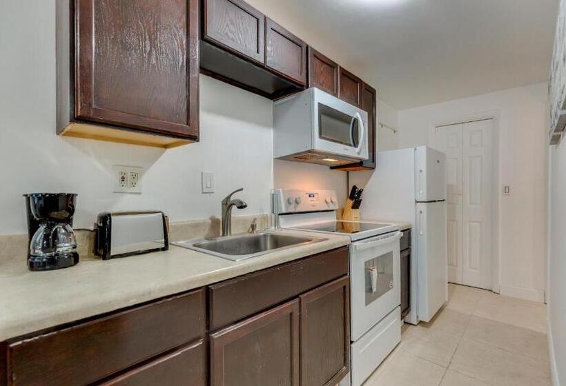 The Cottage In The Oaks   By Avi