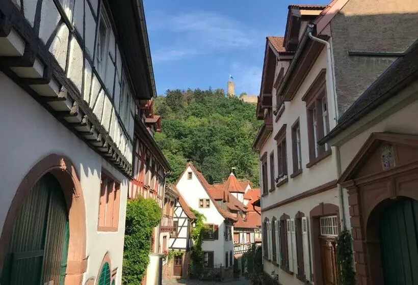 Turmwohnung Büdinger Hof