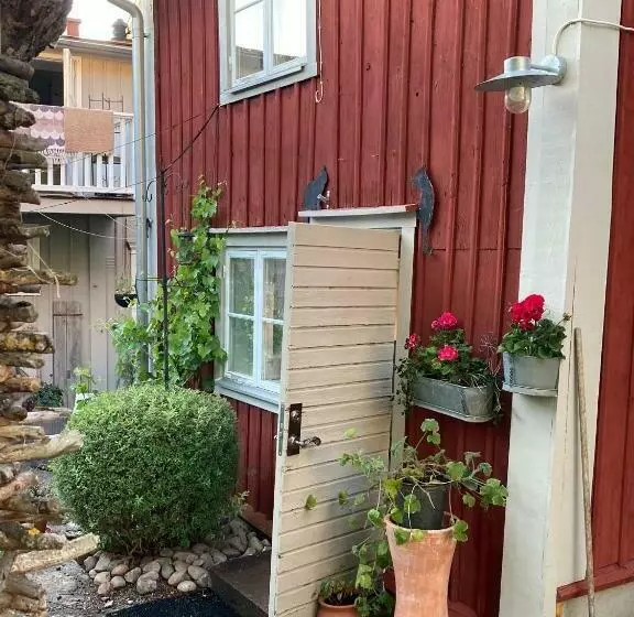 Pinglans Bakficka