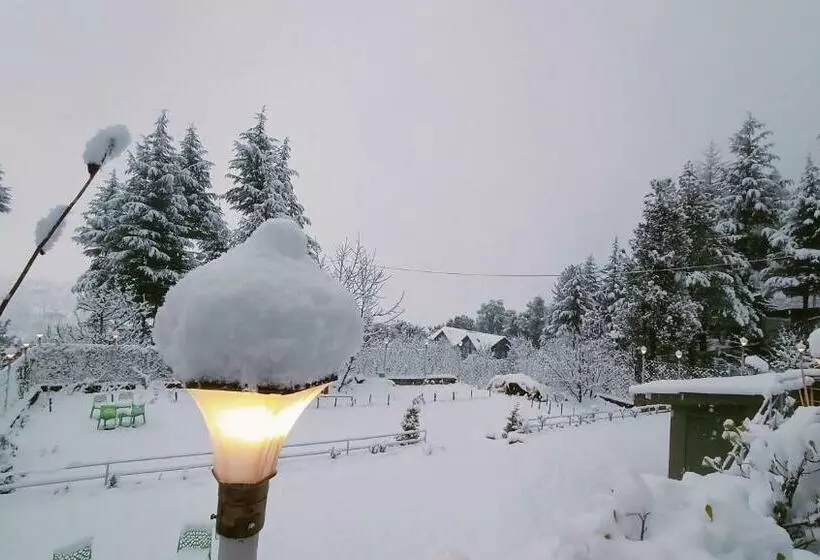 Baan By Snow City Farm