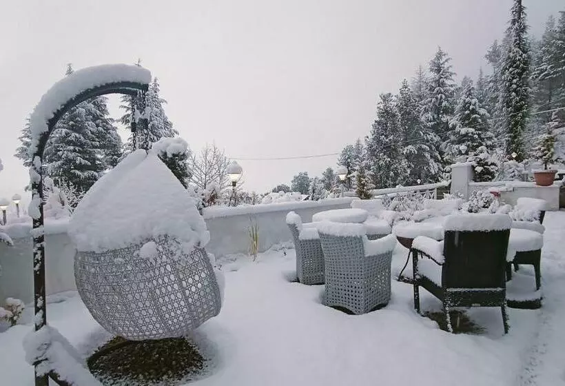 Baan By Snow City Farm