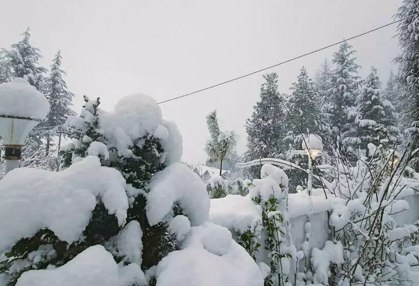 Baan By Snow City Farm
