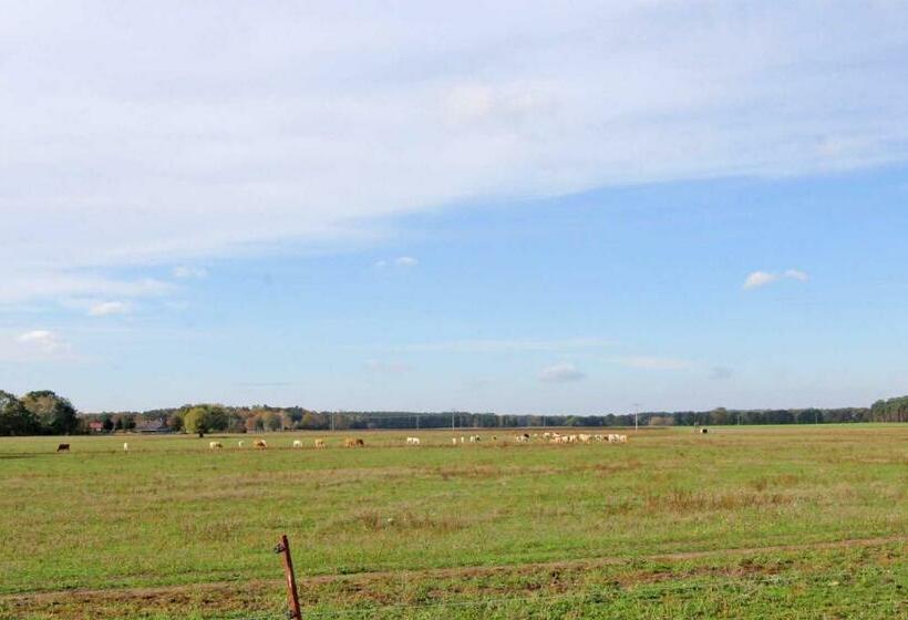 Ferienwohnung Ahlbeck Vorp 2991