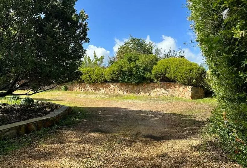 Windfall Cottage