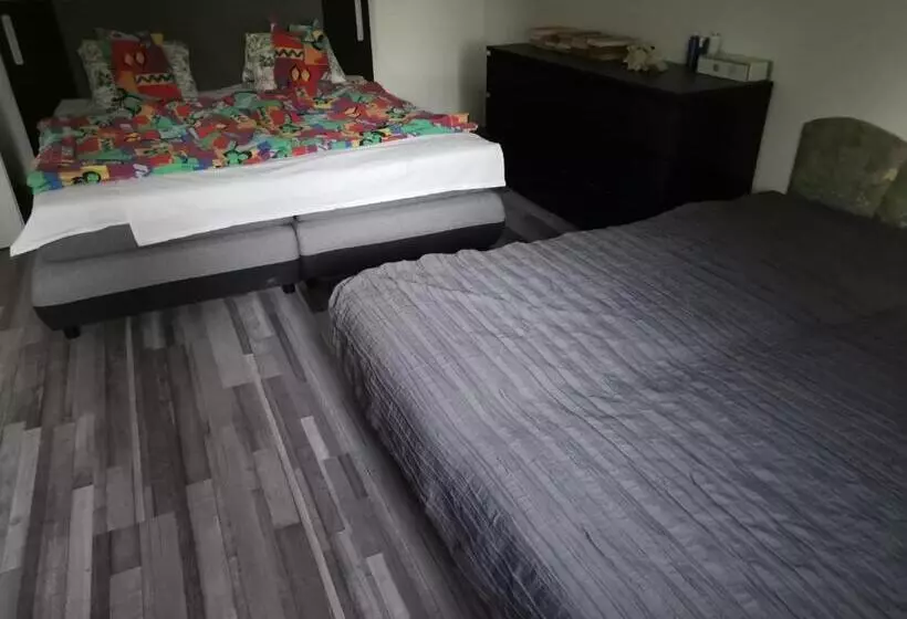 Fenyő Windsurf Vendégház