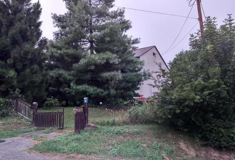 Fenyő Windsurf Vendégház