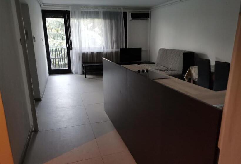 Fenyő Windsurf Vendégház