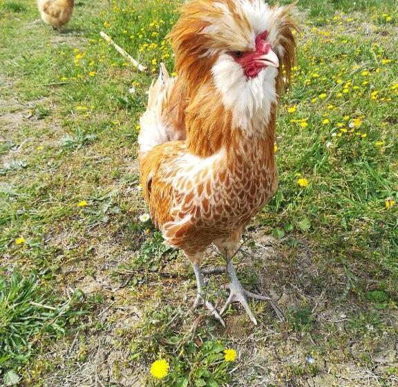 Agriturismo Le Terre D Abruzzo Country House