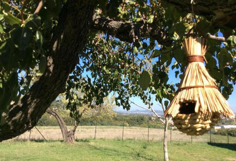Agriturismo Le Terre D Abruzzo Country House