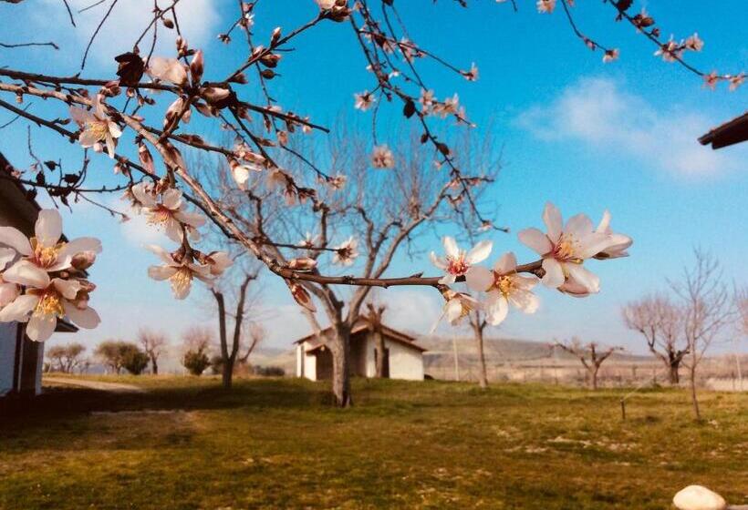 Agriturismo Le Terre D Abruzzo Country House