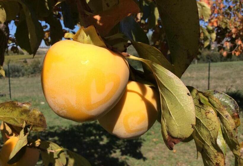 Agriturismo Le Terre D Abruzzo Country House