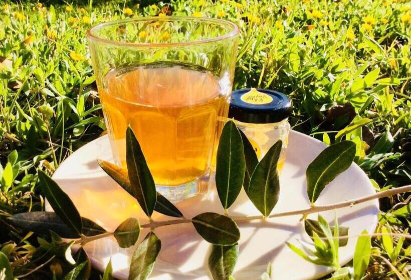 Agriturismo Le Terre D Abruzzo Country House