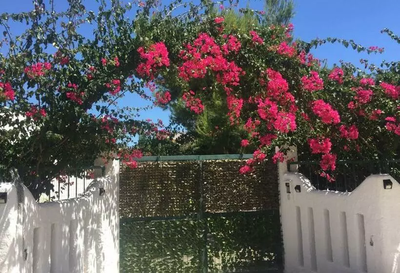 Casa Stella Marina