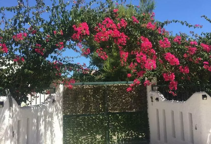 Casa Stella Marina