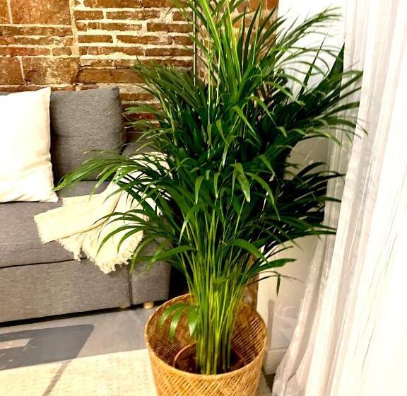 Calle Amparo100 Red Brick Loft For 8 Madrid Lavapies