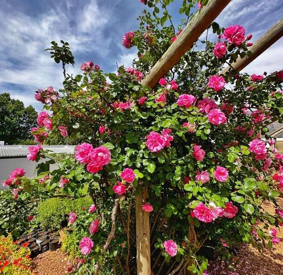 Camberley Wines Luxury Accommodation