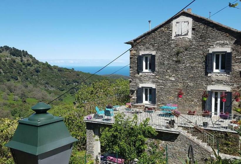 English Club In Corsica A