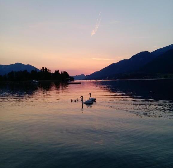 Girbl Bio Apartments Lifestyle