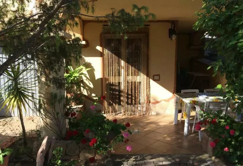 Home Matteo