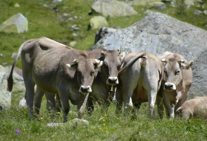 Casa Maria Y Julián