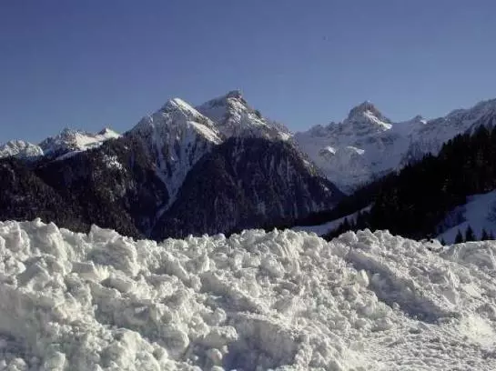 Bauernhof Foehrenhof