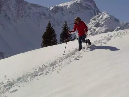 Bauernhof Foehrenhof