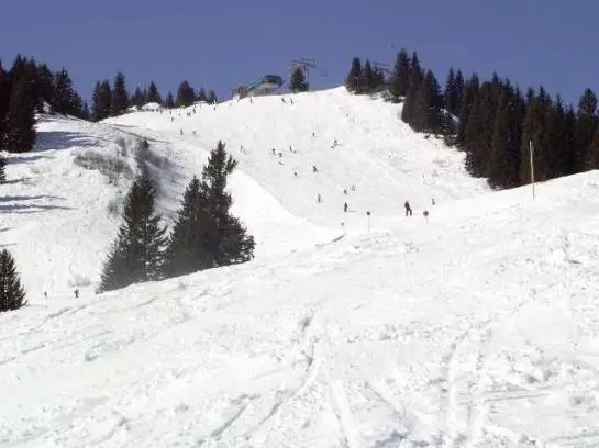 Bauernhof Foehrenhof