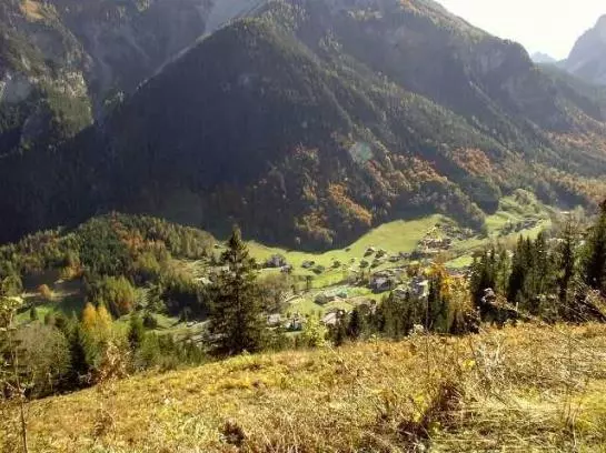 Bauernhof Foehrenhof