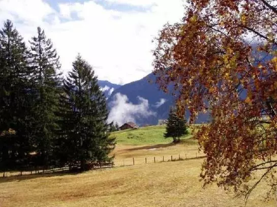 Bauernhof Foehrenhof