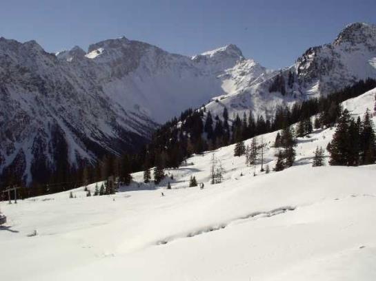 Bauernhof Foehrenhof