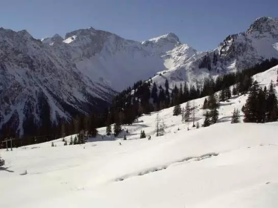 Bauernhof Foehrenhof