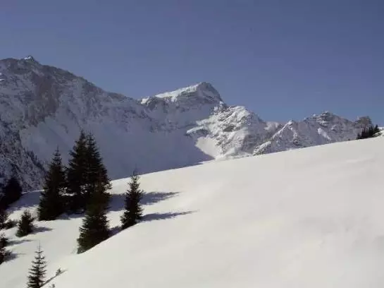 Bauernhof Foehrenhof