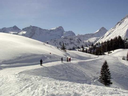 Bauernhof Foehrenhof