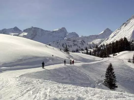 Bauernhof Foehrenhof