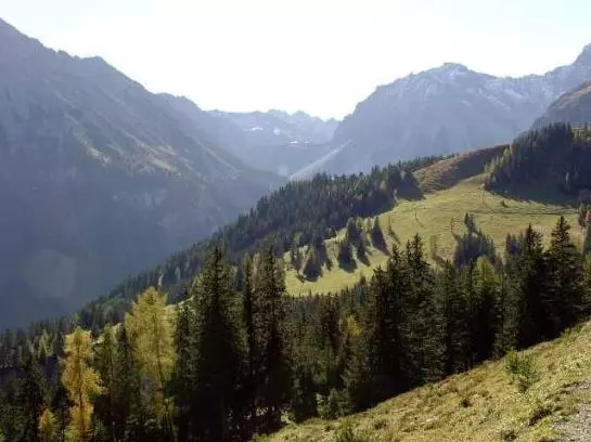 Bauernhof Foehrenhof