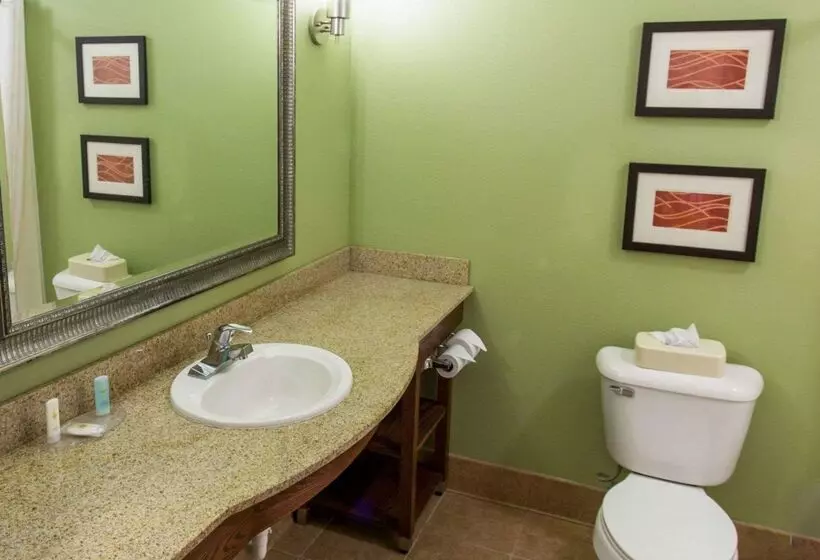 호텔 Comfort Inn New Orleans Airport South