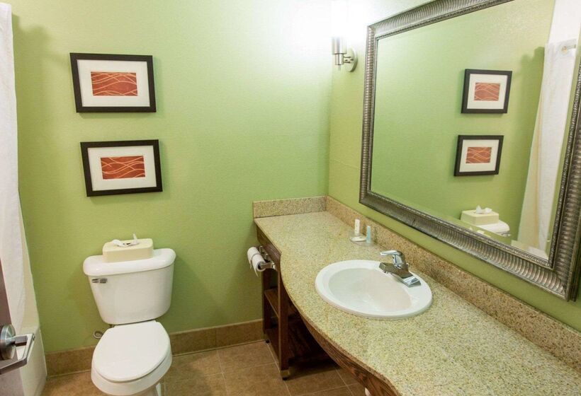 Отель Comfort Inn New Orleans Airport South