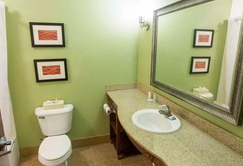 호텔 Comfort Inn New Orleans Airport South