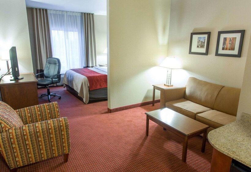 Отель Comfort Inn New Orleans Airport South