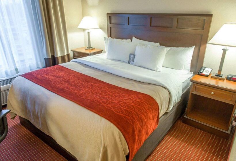 Отель Comfort Inn New Orleans Airport South