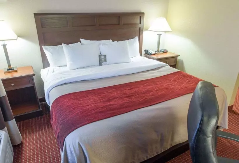 호텔 Comfort Inn New Orleans Airport South
