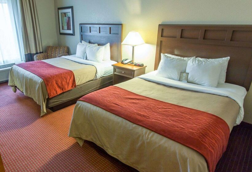 Отель Comfort Inn New Orleans Airport South