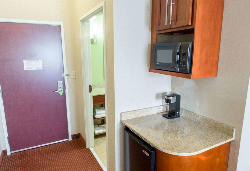 Отель Comfort Inn New Orleans Airport South